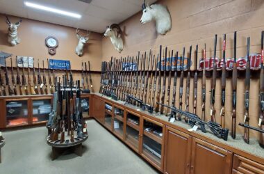 Types of Guns and Ammunition Do San Diego Gun Shops Carry